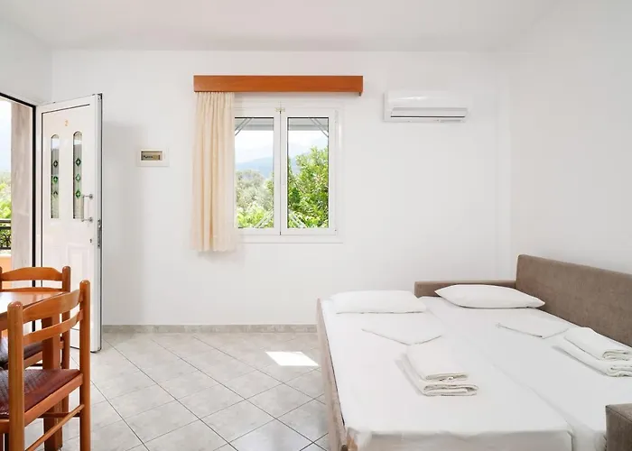 Apollonio * 克里斯阿穆迪亚